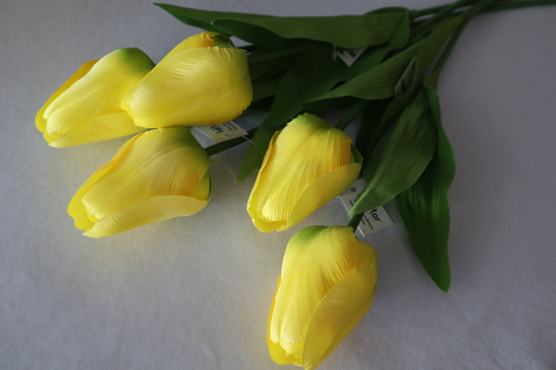 IMG_3350 IMG 3350